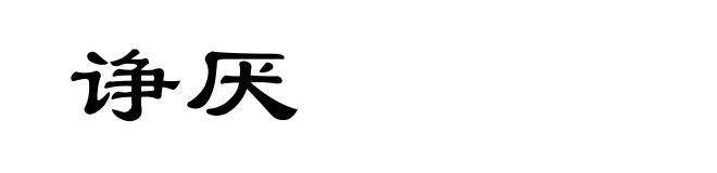 诤厌