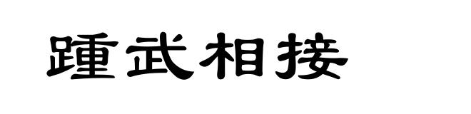 踵武相接