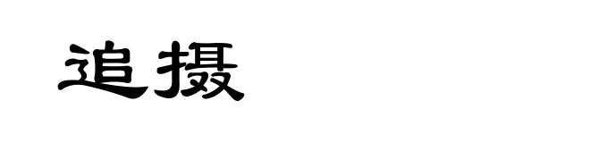追摄