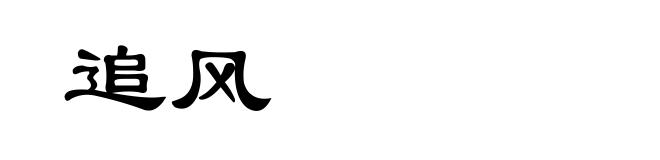 追风