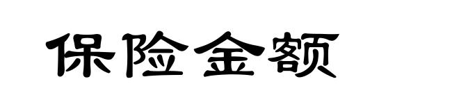 保险金额