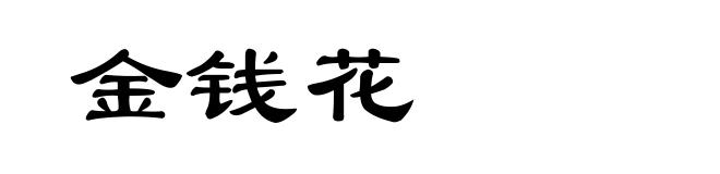 金钱花