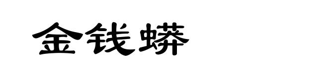 金钱蟒