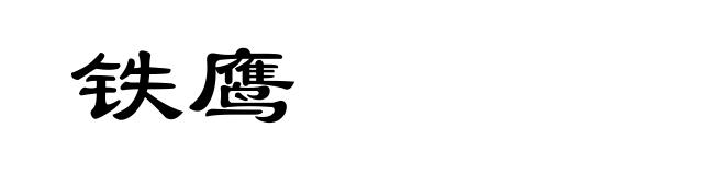 铁鹰