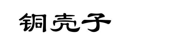 铜壳子
