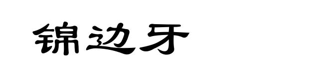 锦边牙