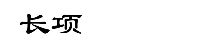 长项