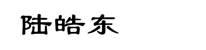 陆皓东