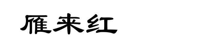 雁来红