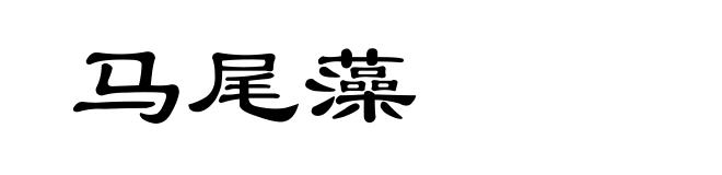 马尾藻