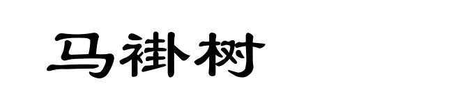 马褂树