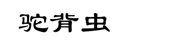 驼背虫