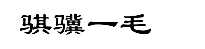 骐骥一毛