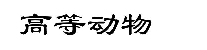 高等动物