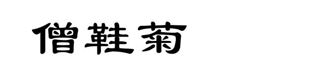 僧鞋菊