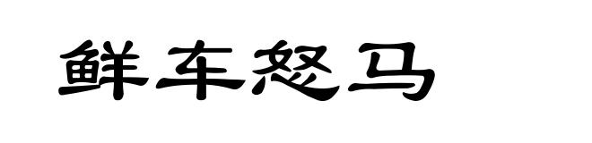 鲜车怒马
