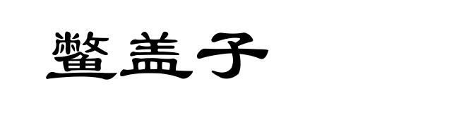 鳖盖子