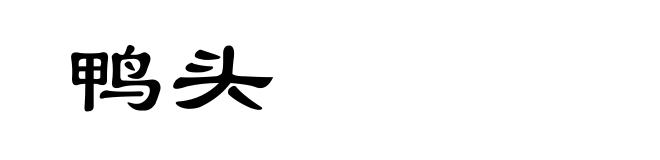 鸭头
