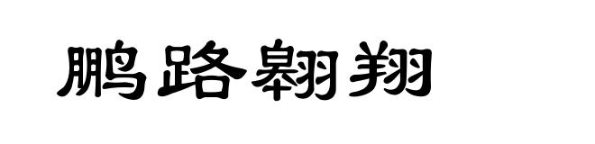 鹏路翱翔