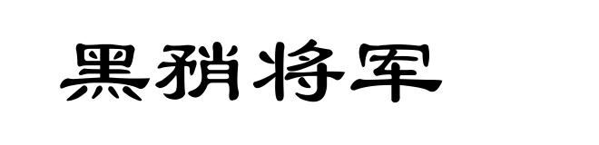 黑矟将军