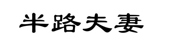 半路夫妻