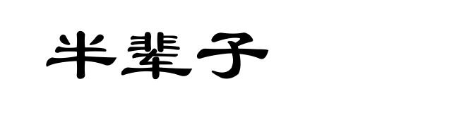 半辈子