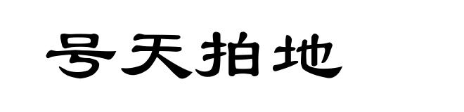 号天拍地