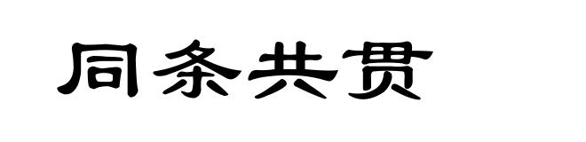 同条共贯