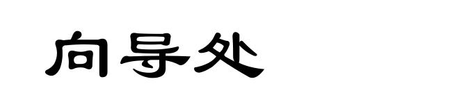 向导处
