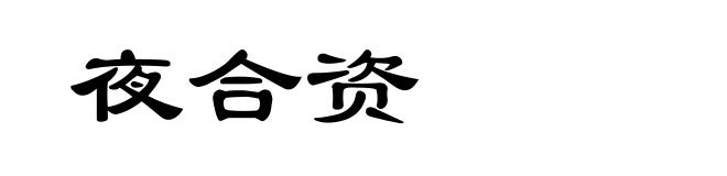 夜合资