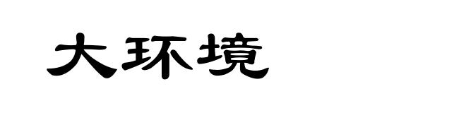 大环境