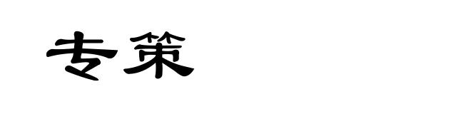 专策