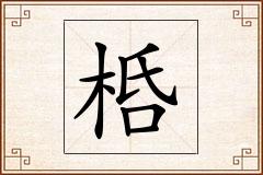 桰怎么写