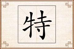 特怎么写