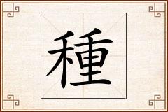 種怎么写