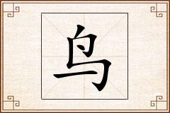 鸟怎么写