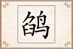 鹐怎么写