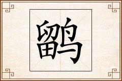鹠怎么写
