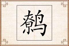 鹩怎么写