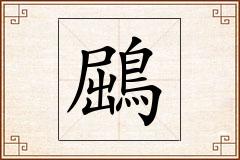 鶌怎么写