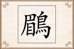 鶥怎么写