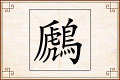 鷉怎么写