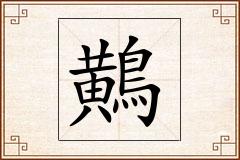 鷬怎么写