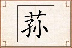 荪怎么写
